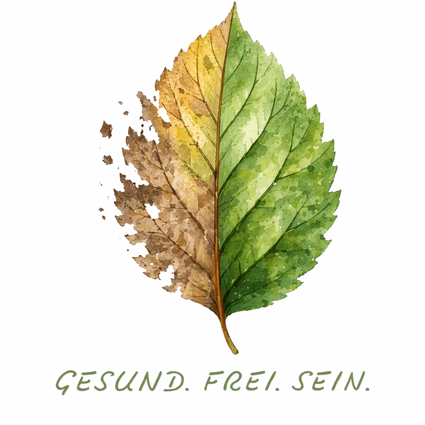 Klarheit gewinnen, Entscheidungen finden