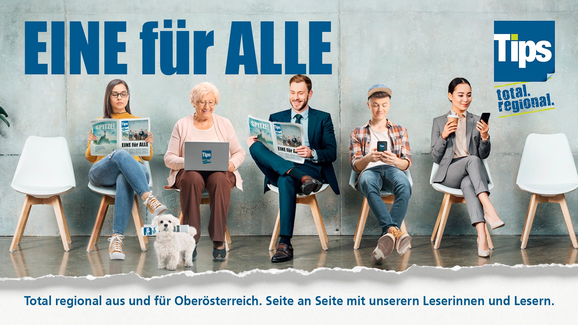 Tips Werbepaket OÖ Full Package groß – Bild 1