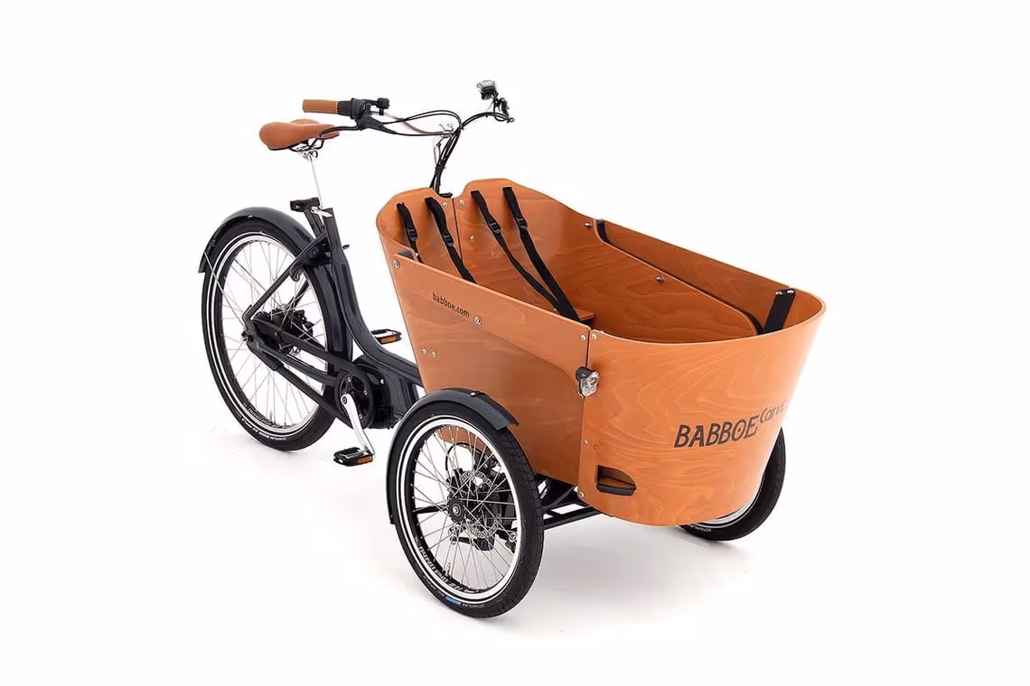 Babboe Carve Mountain – Bild 1